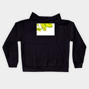 Leaves of a rose Kids Hoodie